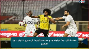 هدف قاتل.. بث مباراة وادي دجلة وبتروجت في دوري النايل بدون تقطيع